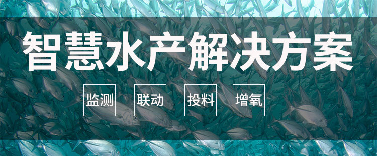 智慧水產解決方案